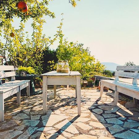 Villa Oneirama ナフプリオ エクステリア 写真